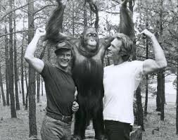 Every Which Way But Loose Clint Eastwood Movies Clint Eastwood Actor Clint Eastwood