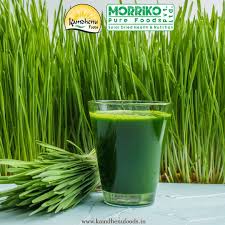 Jun 16, 2015 — 8:26 am @mas. Kamdhenu Foods On Twitter Protect Your Gray Hair By Grabbing A Glass Of Wheat Grass Juice Kamdhenufoods Healthy Wheatgrasspowder Antiageing Natural Stayhealthy Stayfit Powders Products Instagood Dehydrated Wheatgrass Https T Co