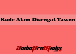 Halaman ini juga mudah tafsir mimpi 4d atau cari kode alam 4d dijamin paling mudah disini. Mimpi Lebah Masuk Rumah Togel Syair 234 Jitu