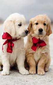 Ready to go july 29. Don Williams Donwilliamz Profile Pinterest