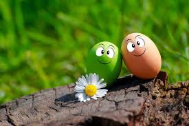 This List Of Egg Puns Will Crack You Up Allwording Com 1280 x 960 jpeg 109kb.