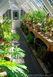 Love This Greenhouse Interior Greenhouse Gardening Greenhouse Interiors Greenhouse