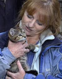 Massive social media effort helps return stolen kitten to MSPCA