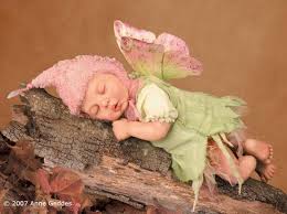 240 Anne Geddes ideas | anne geddes, geddes, anne