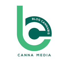 Les 5 Mythes Culinaires Autour Du Cannabis