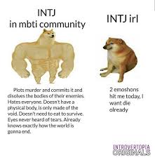 I Mbti Mbti Intj Humor Intj T