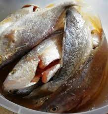 Nak makan selalu mesti kena tahu cara buat pekasam. Cara Cara Buat Ikan Pekasam Sedap Secara Homemade