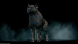 Kubrow Warframe Tenno Animals Panther