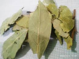 File:ورق لورا .jpg - Wikimedia Commons