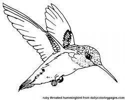 Each of the coloring pages are free printables that can be downloaded easily. Get This Printable Hummingbird Coloring Pages 00467