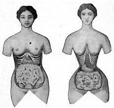 Waist Training Before And After With Pictures Interviews