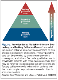 Families have the power to discuss treatments with doctors, and they can receive therapy themselves. Effective Palliative Care What Is Involved