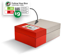 How To Pack A Shoebox