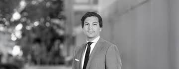 Image result for Fernandoa abbreviata