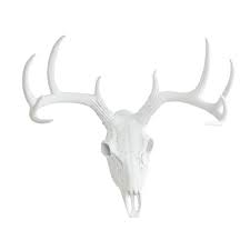 Check spelling or type a new query. Buy Deer Skull Animal Head By Wall Charmers White Faux Fake Taxidermy Resin Antlers Mount Decor Fauxidermy Plastic Ceramic Mounted Decorative In Cheap Price On Alibaba Com