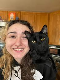 How to find a lost indoor cat in Renton, WA?