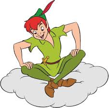 Peter Pan Disney Decal Removable Wall Sticker Decor Art Jake Neverland Pirates Peter Pan Stickers Peter Pan Disney Peter Pan Drawing