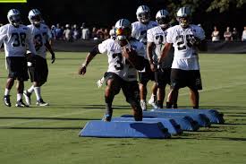 Rb Deangelo Williams Deangelo Williams Carolina Panthers Blue Black