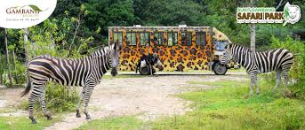 It also features a kids club, valet parking and a kids pool. Bukit Gambang Safari Park Ticket2u