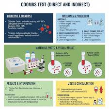 Image result for Indirect Coombs