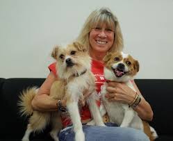 One of them is google translate. Pet Owners Urged To Keep Calm As There Is No Evidence That Companion Animals Can Be The Source Of Human Covid 19 Infection