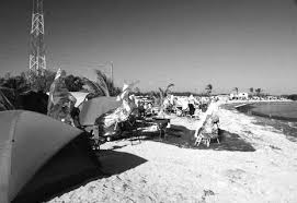 La Floride au gré des vents La Floride au gré des vents