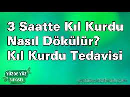 3 Saatte Kil Kurdu Nasil Dokulur Kil Kurdu Tedavisi Yuzde Yuz Bitkisel Youtube Bitkisel Tarifler Evde Hazirlabilen Ilaclar Saglikli Yasam Tarzi
