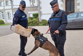 Photo Pontivy se dote d'un Rafale pour aider les agents de la police ...