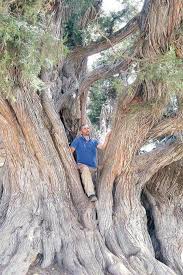 Image result for hasan hüseyin kahrıman