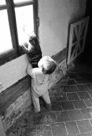 Animals Cats Cute Animals