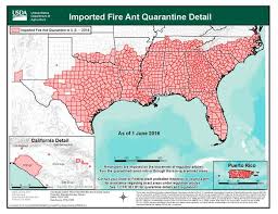 Pyrethrin pesticides can be applied as a contact insecticides. Red Imported Fire Ant In North Carolina Nc State Extension Publications