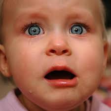 Adam Button (@adambutton1)