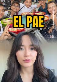 Qué es el PEI y el PCI?