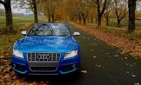 Image result for Sprint Blue 2010 S5