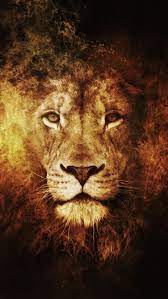 Lion Wallpaper Hd Iphone 6 Plus Wallpaper Lion Hd Wallpaper Lion Artwork Lion Pictures