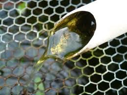 Fish that clean ponds by eating algae and other debris. Homemade Algae Cleaner For Ponds Ehow Water Pond Fish Ponds Pond Algae