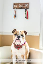 housewarming gifts for dog owners dog christmas gifts house warming gifts gifts for dog owners