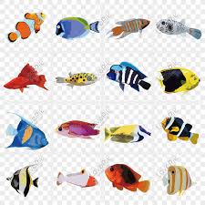 Kumpulan Gambar Dekoratif Ikan Hias Hd Terbaru Infobaru Sifat dekoratif pada gambar menunjukkan fungsi gambar. kumpulan gambar dekoratif ikan hias hd