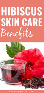 Meet Our Ingredients Organic Hibiscus Flower Extract Skin Care Benefits Hibiscus Hibiscus Flowers
