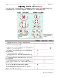 Comparing Mitosis Meiosis