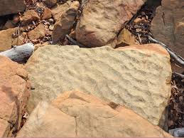 One of a series of small ridges produced especially on sand by the action of wind, a current of water, or waves. Ripple Marks Geokansas