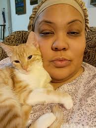 Does this cat look familiar? We're in Mandarin.