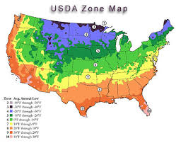 What Zone Am I In For Planting Garden Plants Vegetable