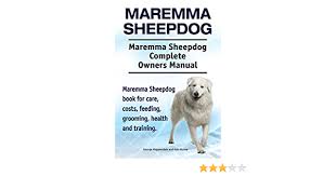 Overview the maremma sheepdog gets along well with other dogs and children. Maremma Sheepdog Maremma Sheepdog Complete Owners Manual Maremma Sheepdog Book For Care Costs Feeding Grooming Health And Training Hoppendale George Moore Asia 9781910861998 Amazon Com Books