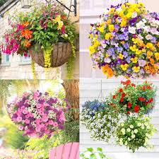 I just love the bushiness and crisp colors of petunias. 15 Beautiful Flower Hanging Baskets Best Plant Lists A Piece Of Rainbow