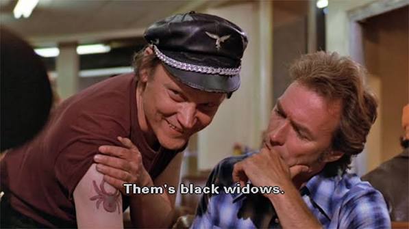 Every Which Way but Loose (1978)