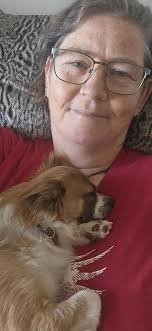 Chihuahua "Just hanging around, small dog, big attitude, endless  entertainment!"