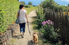 Check spelling or type a new query. Ciri Ciri Makhluk Hidup Baik Manusia Hewan Maupun Tumbuh Tumbuhan Semua Halaman Kids