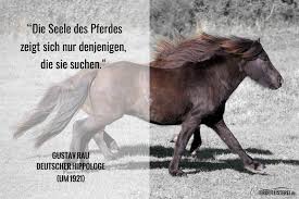 Gustav Rau Die Seele Des Pferdes