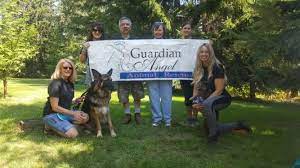 A humane society lebec, ca 93243 phone: Pets For Adoption At Guardian Angel Animal Rescue In Livonia Mi Petfinder